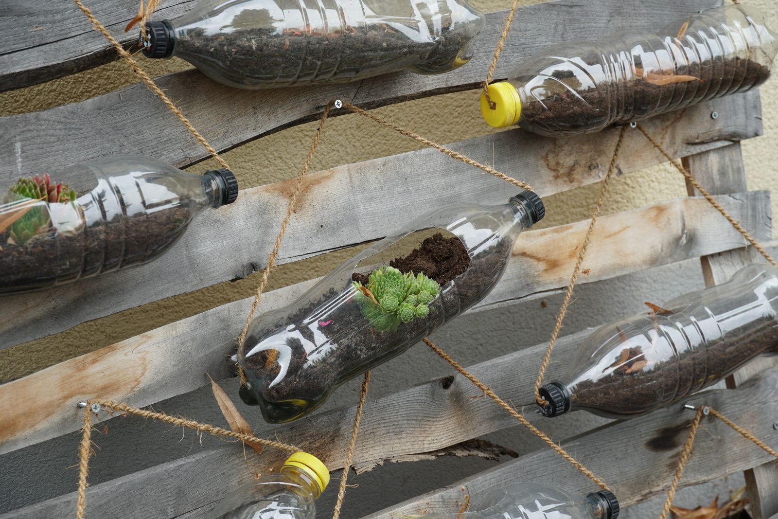 opgehangen plantenpotten gemaakt van plastic flessen